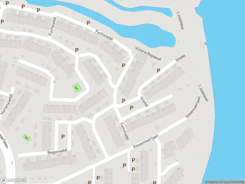 Traumahelikopter naar de Ambrosiadal in Leiden