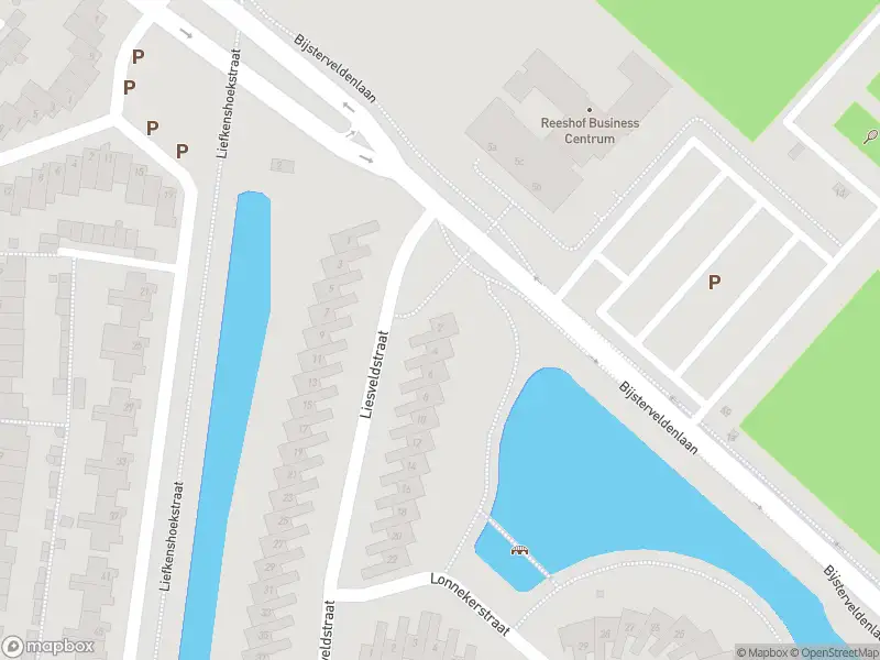 Overlastmelding Liesveldstraat in Tilburg