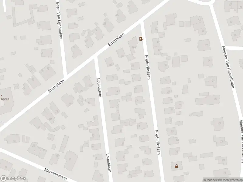 Politie naar de Hoofdstraat in Apeldoorn