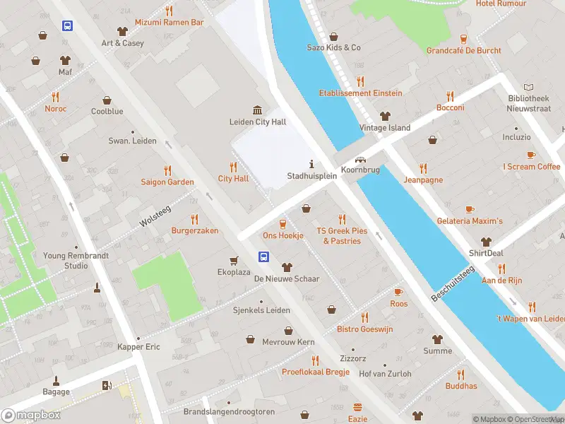 Ambulance met gepaste spoed naar de Koornbrugsteeg in Leiden