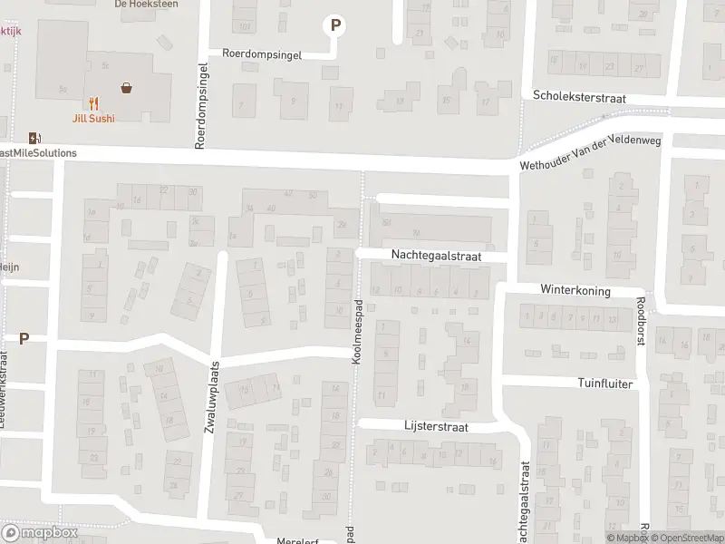 Ambulance met gepaste spoed naar de Koolmeespad in Numansdorp