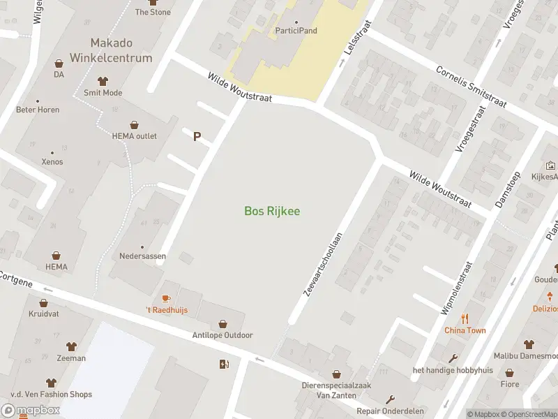 Brandweer met gepaste spoed naar de Nedersassen in Alblasserdam