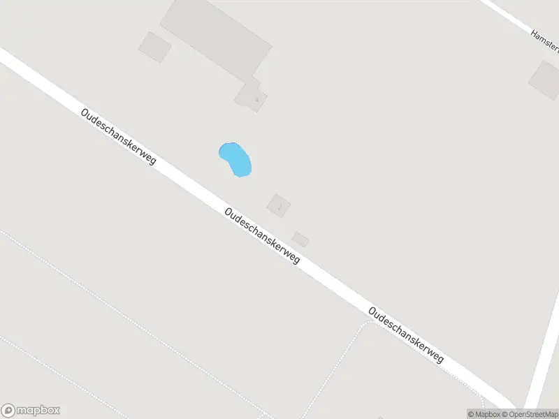 Brandweer met grote spoed naar de Oudeschanskerweg in Bellingwolde