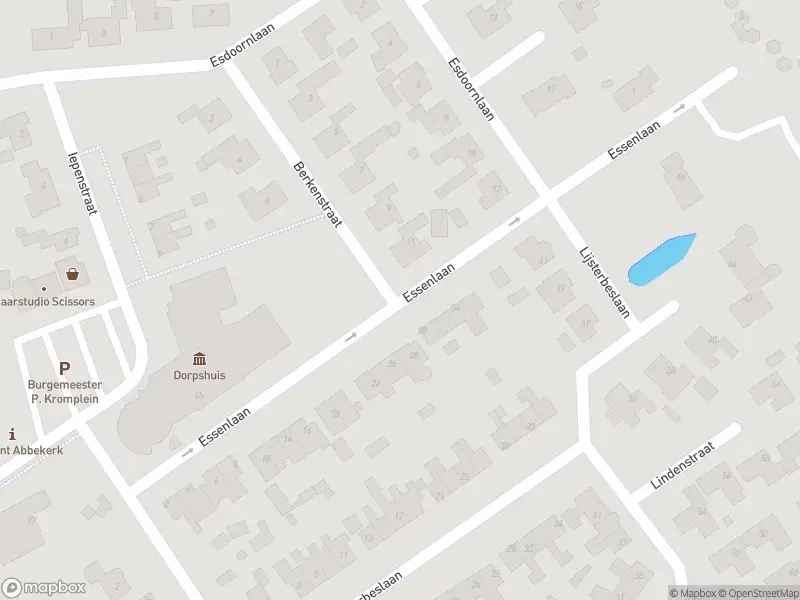 Ambulance met gepaste spoed naar de Essenlaan in Abbekerk