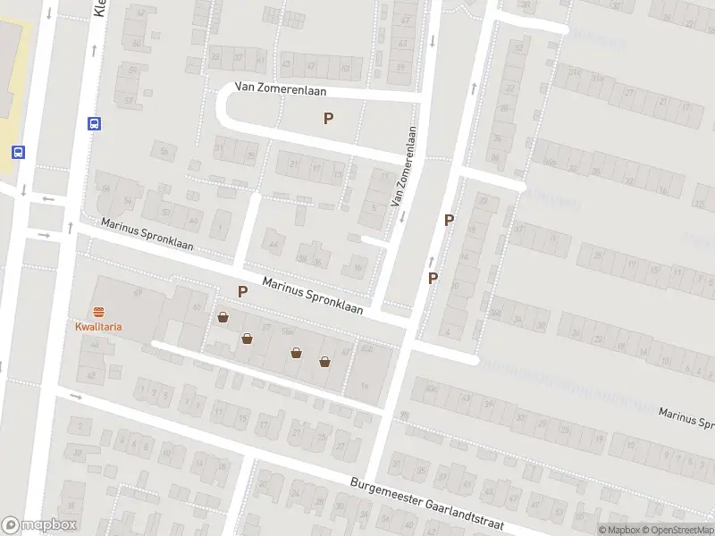 Overlastmelding Van Zomerenlaan in Gorinchem