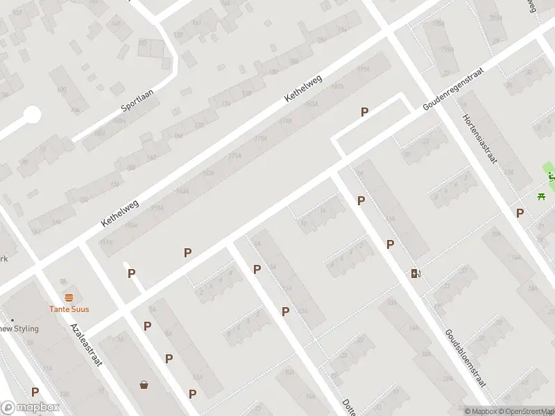 Ambulance met gepaste spoed naar de Goudenregenstraat in Vlaardingen