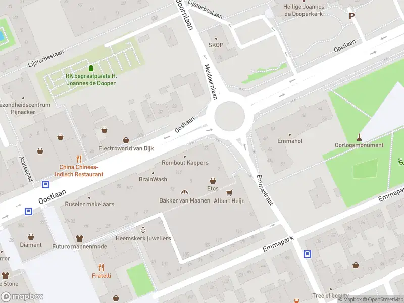 Ambulance met grote spoed naar de Oostlaan in Pijnacker