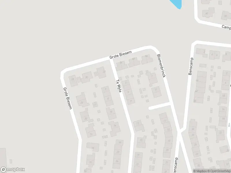 Overlastmelding Te Wyle in Doesburg