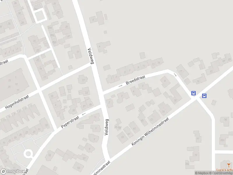 Politie naar de Breedstraat in Hedel vanwege aanrijding met letsel