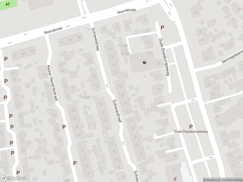 Overlastmelding Schievestraat in Zevenaar