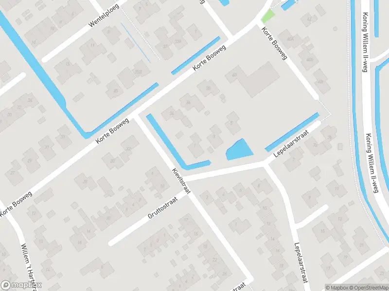 Overlastmelding Lepelaarstraat in 't Zand