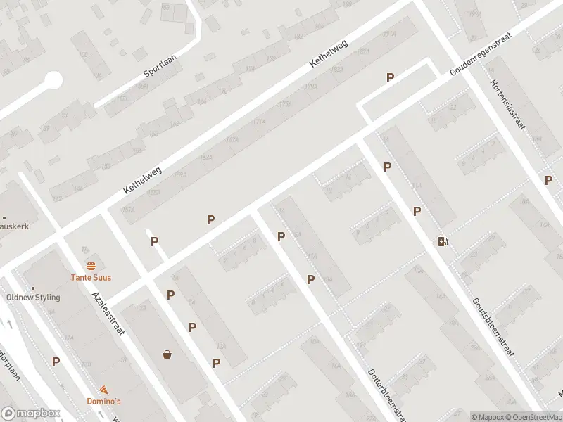 Ambulance met gepaste spoed naar de Dotterbloemstraat in Vlaardingen