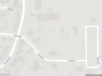 Overlastmelding Gansoyen in Drongelen