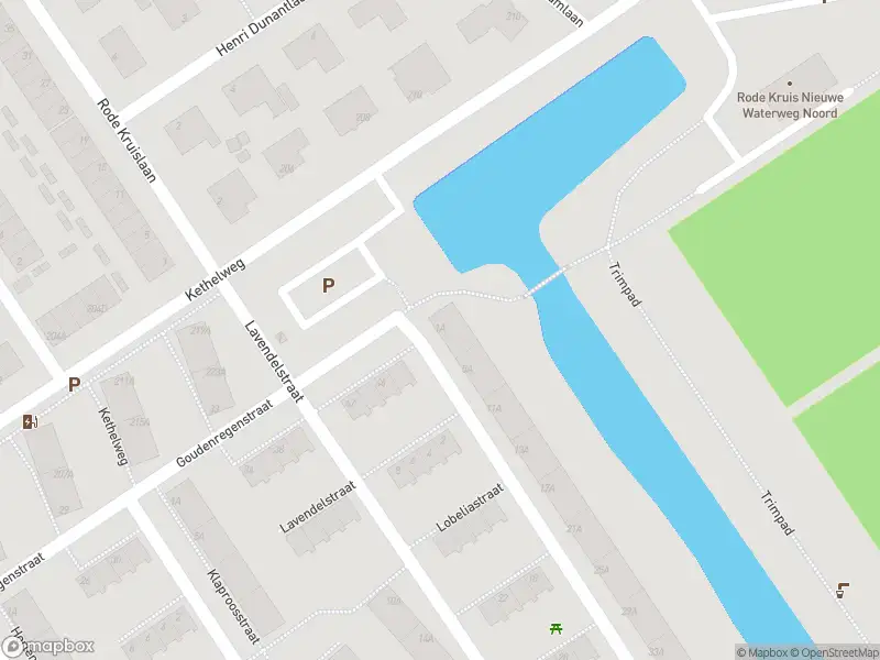 Ambulance met gepaste spoed naar de Lobeliastraat in Vlaardingen