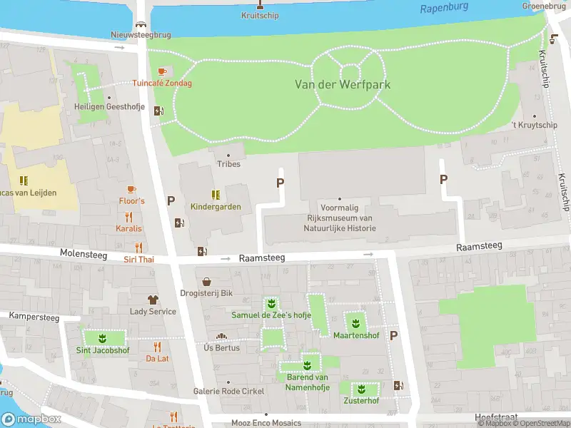 Ambulance naar de Hoefstraat in Leiden