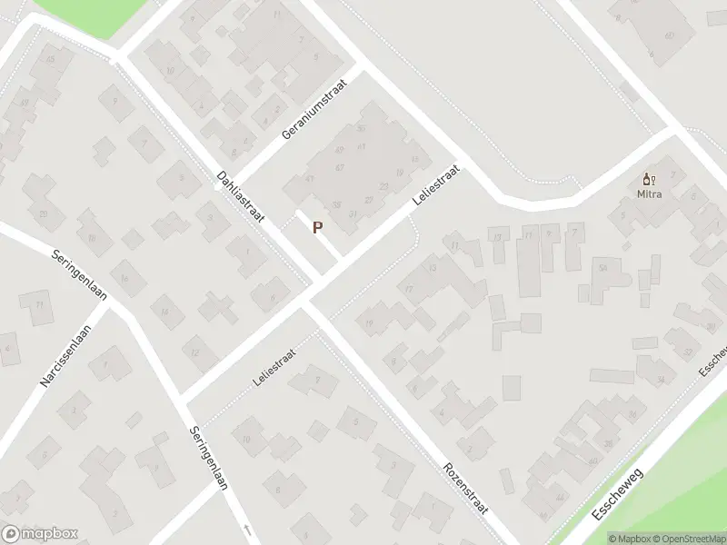 Overlastmelding Leliestraat in Sint-Michielsgestel