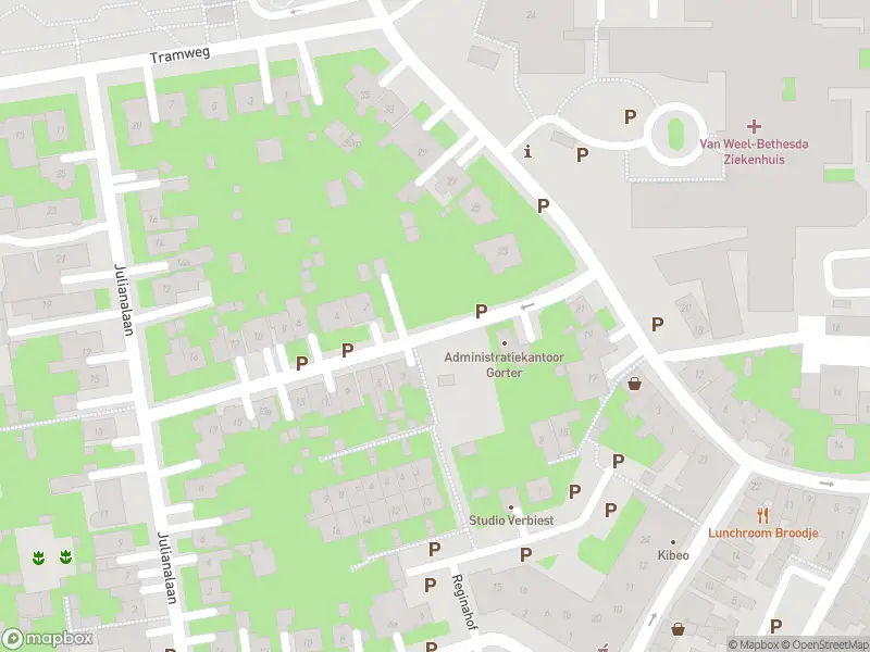 Ambulance met grote spoed naar de Paulina van Weellaan in Dirksland