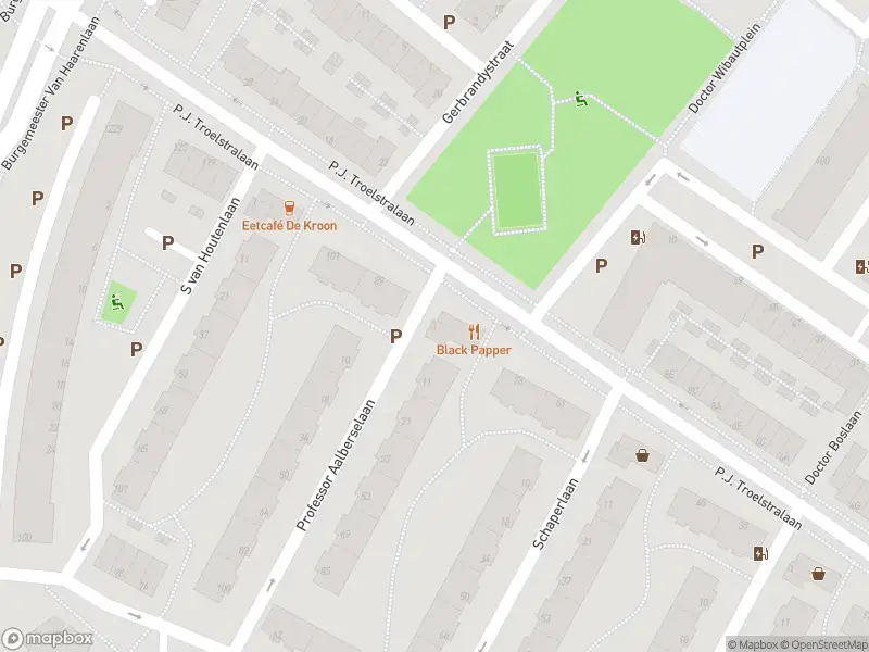 Ambulance met gepaste spoed naar de Prof. Aalberselaan in Schiedam