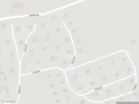 Overlastmelding Dolphijn in Ouddorp