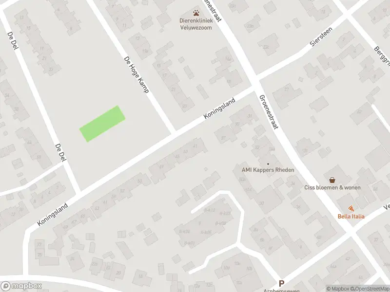 Overlastmelding Koningsland in Rheden gesloten