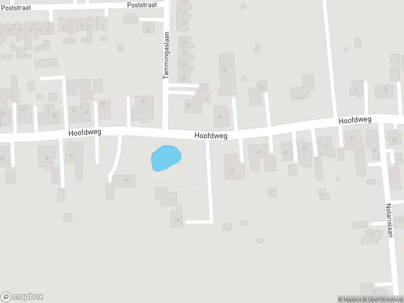 Brandweer met gepaste spoed naar de H.J.Siemonsstraat in Finsterwolde