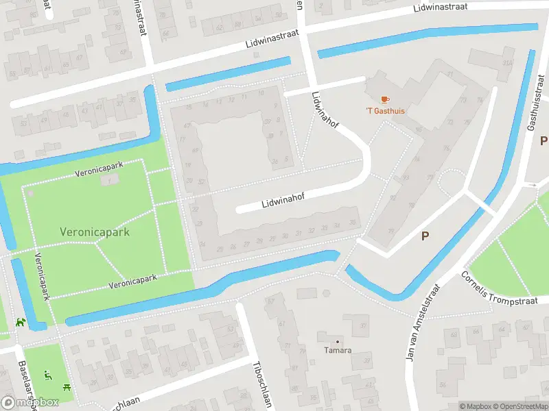 Brandweer met grote spoed naar de Lidwinastraat in Schijndel vanwege waarnemen gaslucht