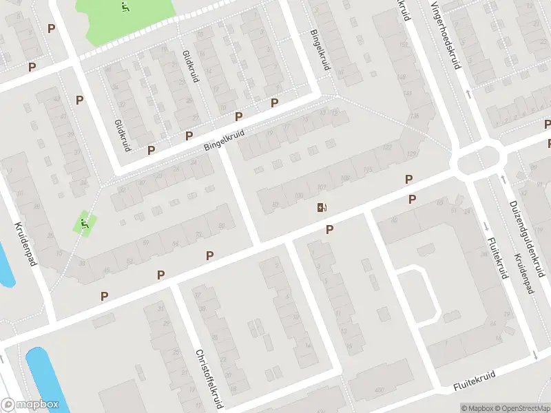 Ambulance met gepaste spoed naar de Nagelkruid in Vlaardingen