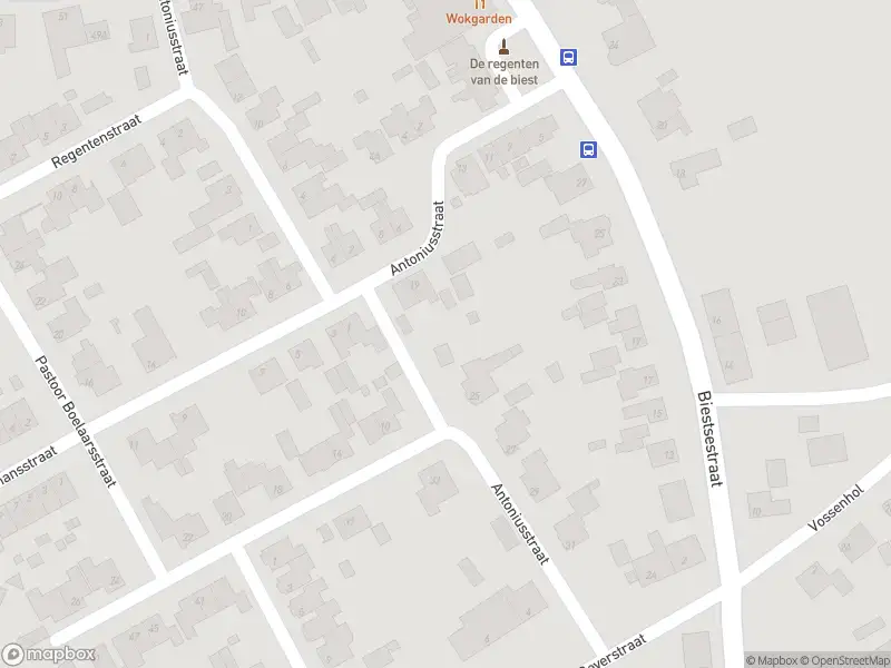 Overlastmelding Antoniusstraat in Biest-Houtakker