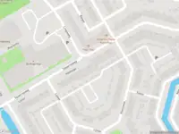 Overlastmelding Koolmees in Hoorn