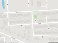 Overlastmelding Calèche in Waalwijk gesloten