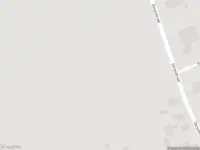 Brandweer met gepaste spoed naar de Dorpsstraat in Zuidlaarderveen vanwege dier(en) in nood