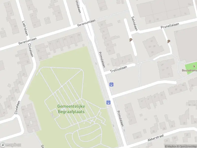 Politie naar de Primulalaan in Waalre vanwege ongeval met letsel