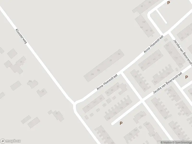 Ambulance met grote spoed naar de Anna-Hoevestraat in Brielle