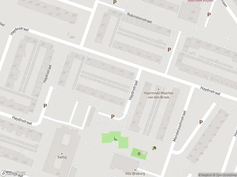 Overlastmelding Haydnstraat in Tilburg