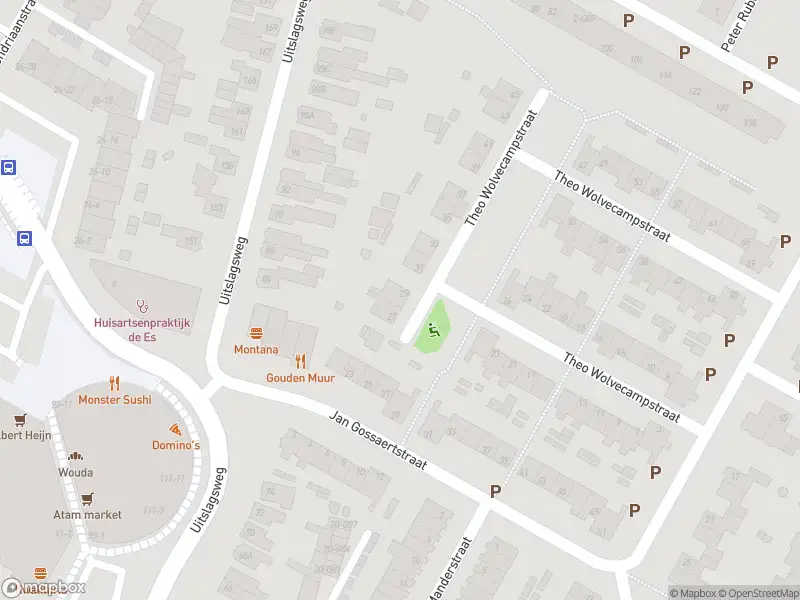 Brandweer met grote spoed naar de Mr. P.J. Troelstrastraat in Hengelo vanwege stankoverlast