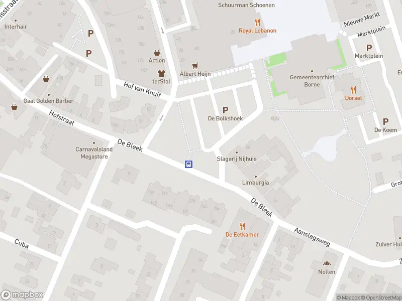 Brandweer met gepaste spoed naar de De Bleek in Borne vanwege afhijsen patient