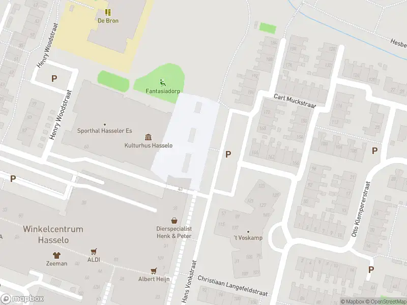 Brandweer met gepaste spoed naar de Christiaan Langefeldstraat in Hengelo