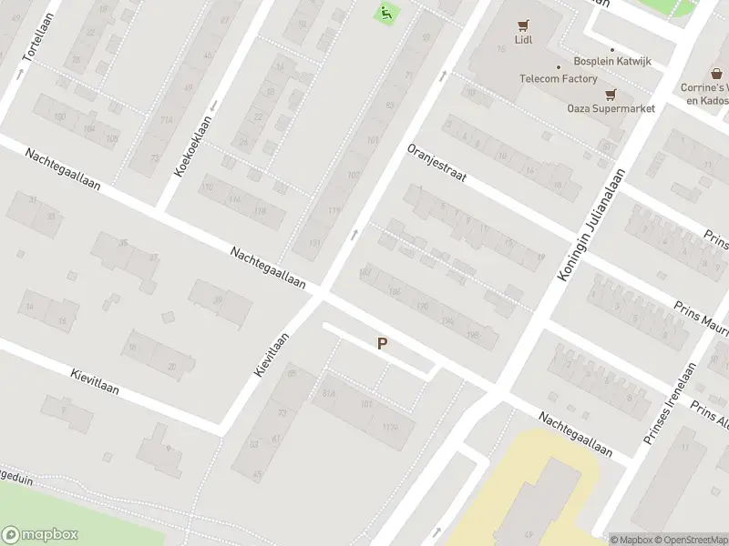 Anonieme overlastmelding Nachtegaallaan in Katwijk