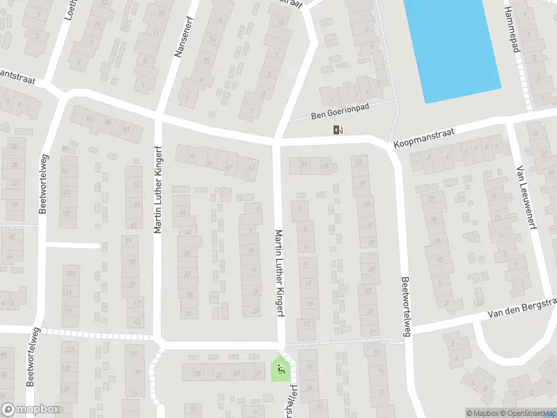 Overlastmelding Martin Luther Kingerf in Oud-Beijerland