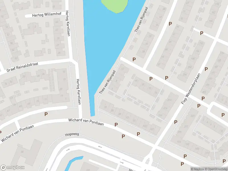 Brandweer met gepaste spoed naar de Theo van Rijenpad in Zaltbommel