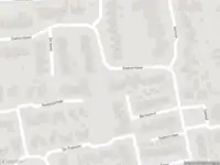 Brandweer met gepaste spoed naar de Esdoornlaan in Vroomshoop