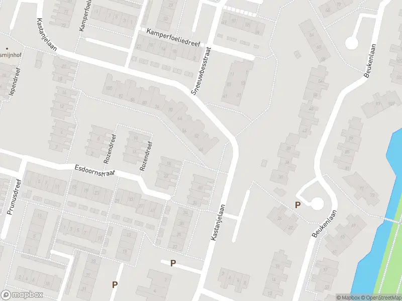 Ambulance met gepaste spoed naar de Kastanjelaan in Bleiswijk