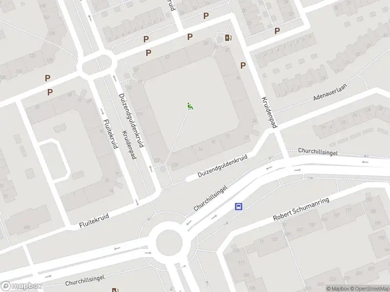 Ambulance met grote spoed naar de Duizendguldenkruid in Vlaardingen