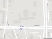 Overlastmelding Wandelboslaan in Tilburg (Noord-Brabant)