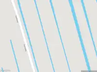 Politie naar de B in Ottoland vanwege dier(en) in nood