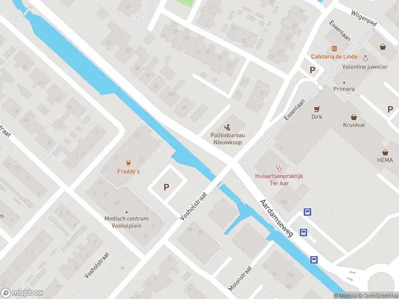 Ambulance met gepaste spoed naar de Vosholstraat in Ter Aar