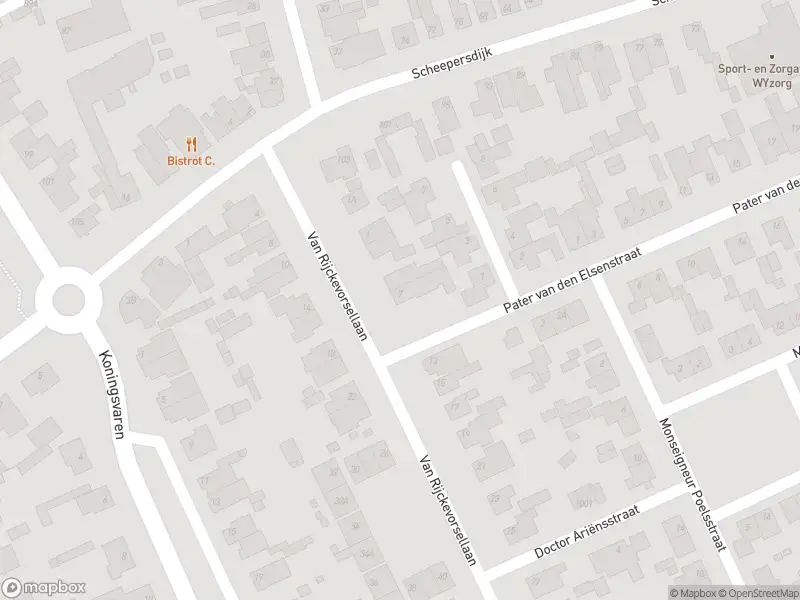 Overlastmelding Van Rijckevorsellaan in Oisterwijk