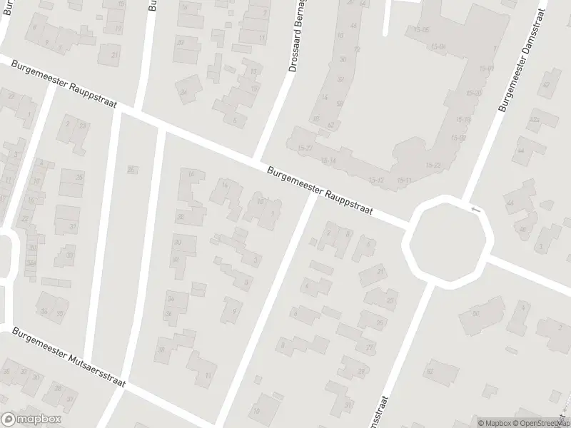 Overlastmelding Burgemeester Rauppstraat in Tilburg