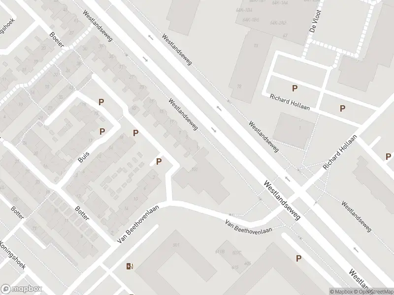 Overlastmelding Drijver in Maassluis