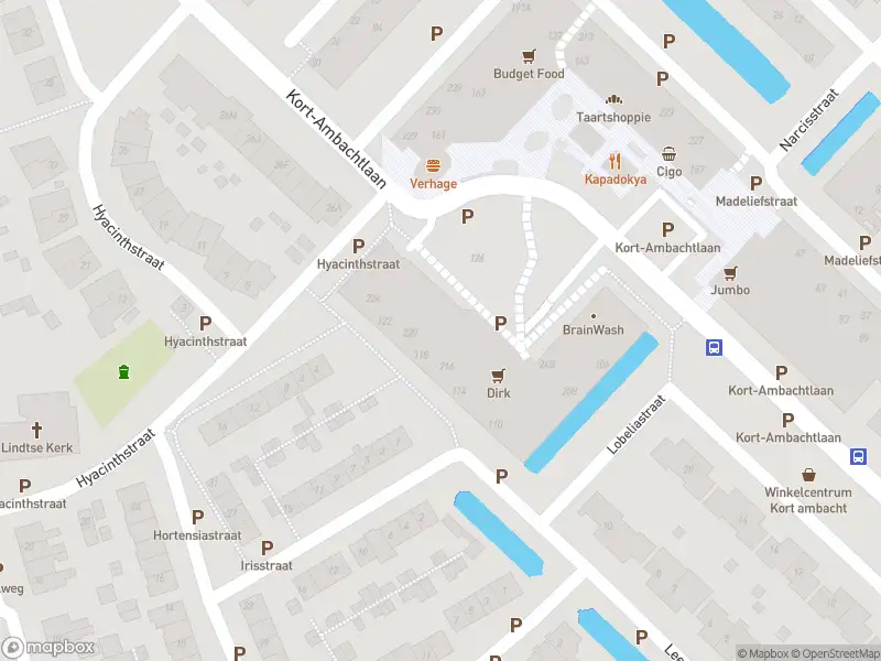 Overlastmelding Hyacinthstraat in Zwijndrecht